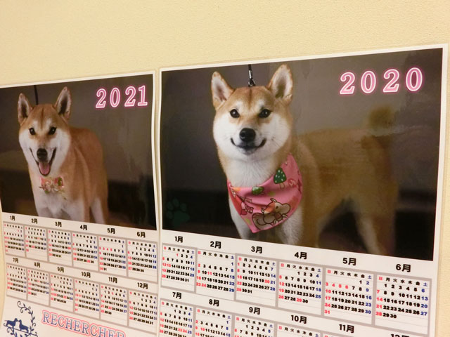 柴犬カレンダー