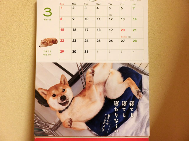3月の柴犬カレンダー
