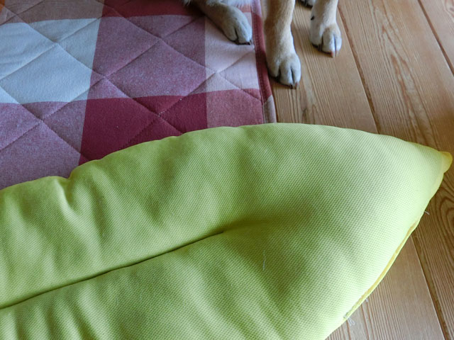 バナナのベッドと柴犬