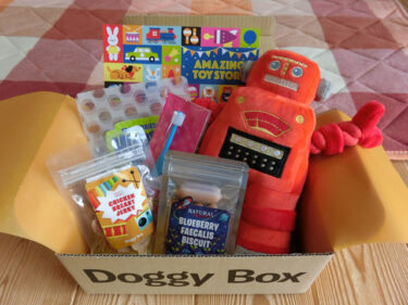 3月のDoggy Box☆