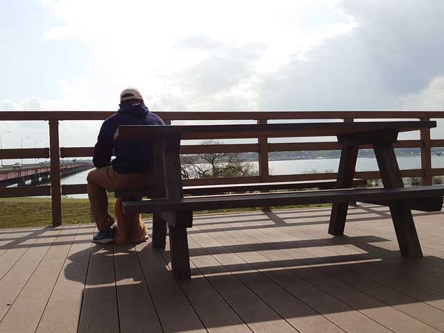 霞ヶ浦を眺める柴犬と父