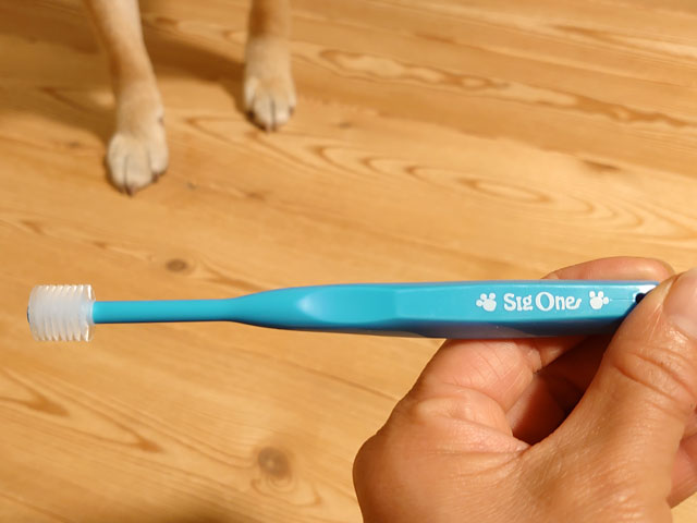 ペット用の歯ブラシ