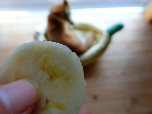 アップルバナナと柴犬