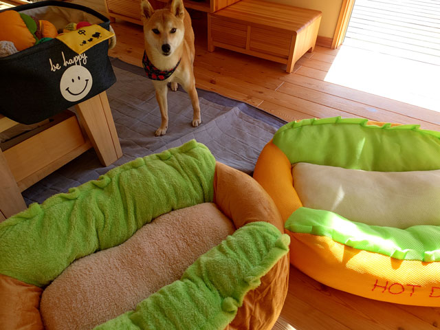 ホットドッグ型のベッドと柴犬