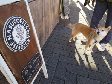 コーヒーショップと柴犬