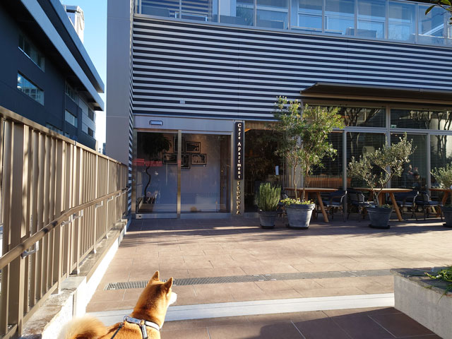 Cafe Apartment Tsukuba（カフェ アパートメント ツクバ）
